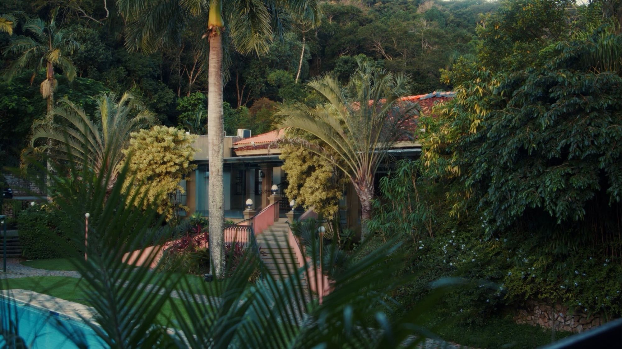 Jardim com palmeiras e piscina