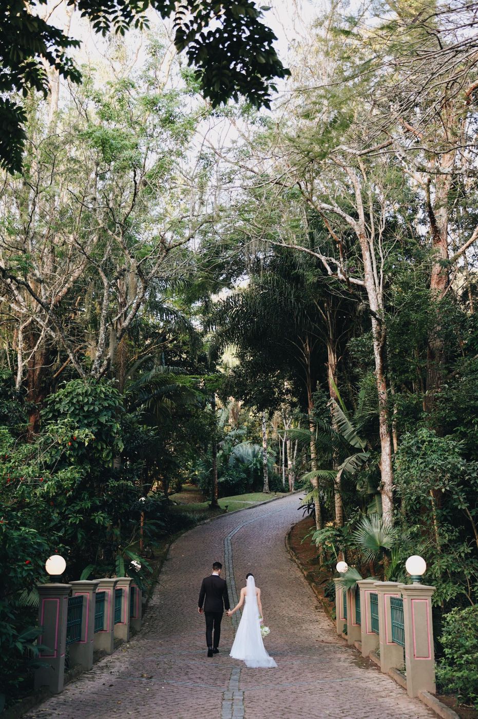 Noivos caminhando de mãos dadas pela alameda arborizada